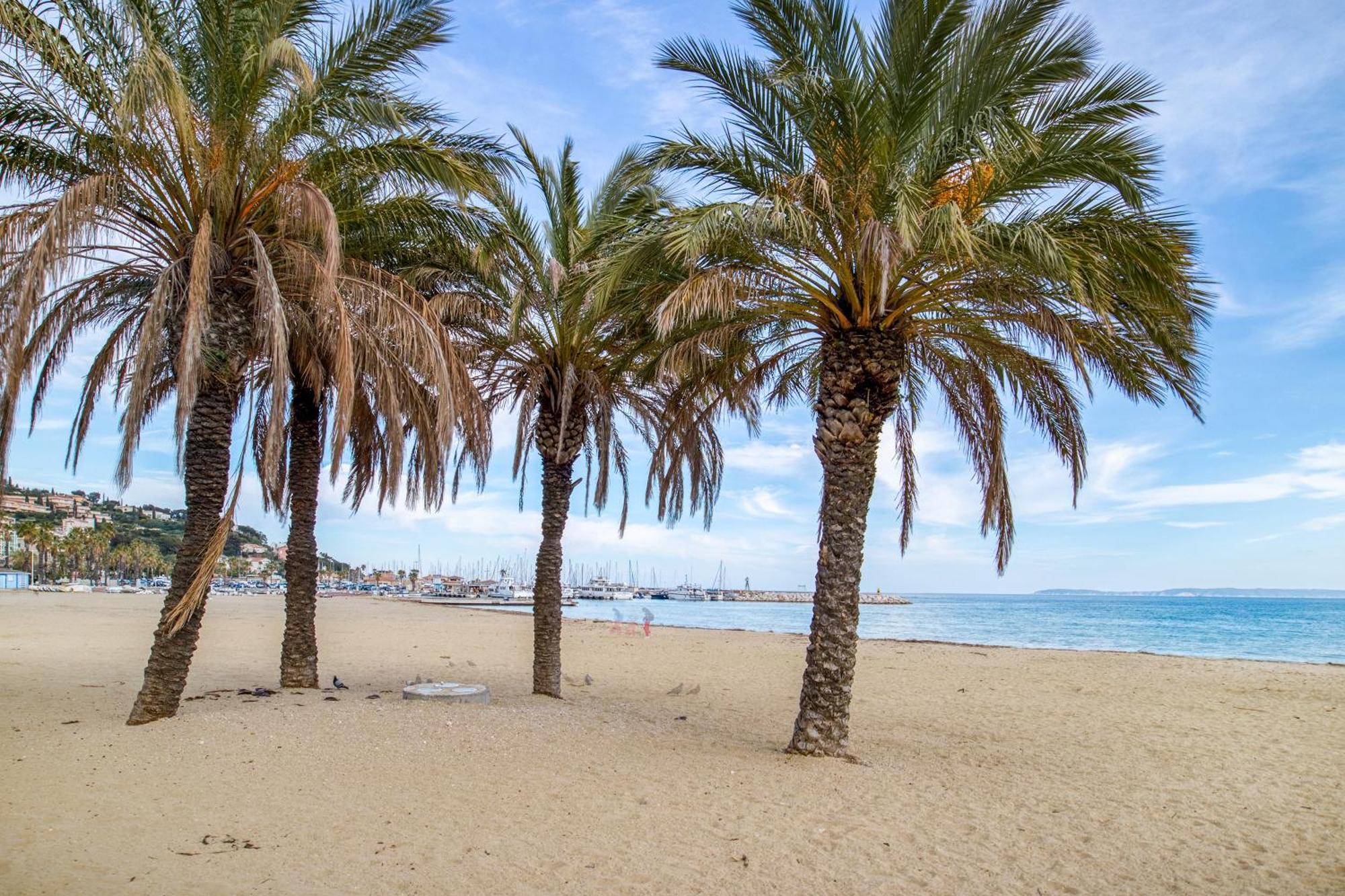 Nouvelle Ere - Appt A Moins D'Un Km De La Plage ル・ラヴァンドゥー エクステリア 写真